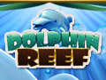 Dolphin Reef